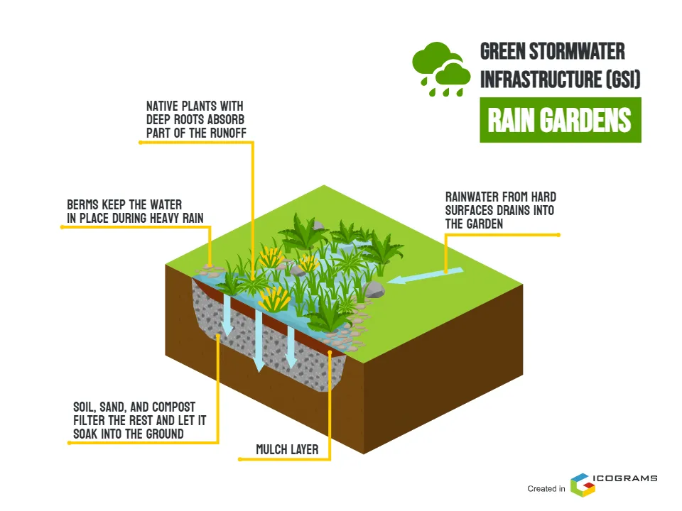 Green Stormwater Infrastruсture - Rain Gardens