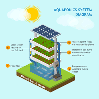 Aquaponics System Diagram