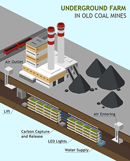 Coal Mines Farm