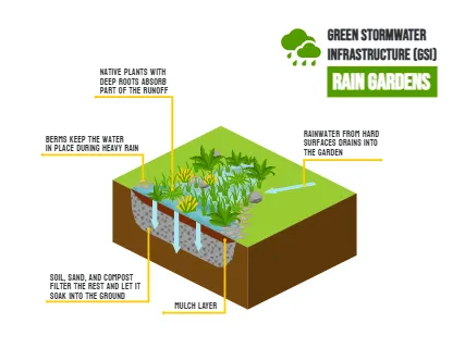 Green Stormwater Infrastruсture - Rain Gardens